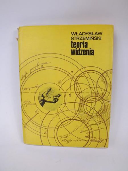 Teoria widzenia