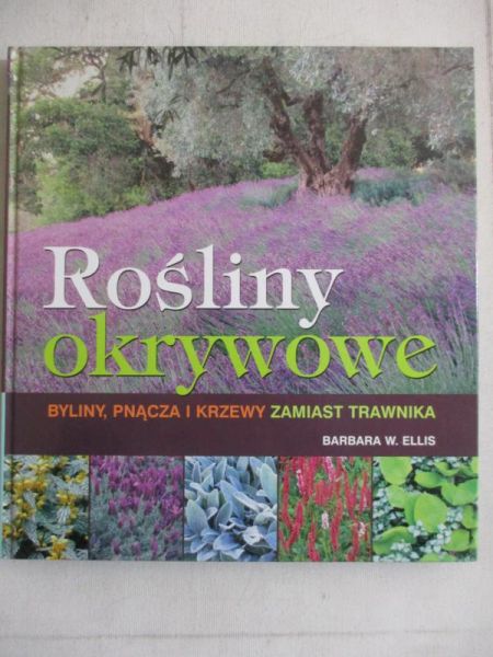 Rośliny okrywowe