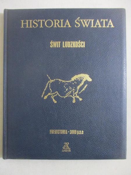 Middleton Chris- Historia świata