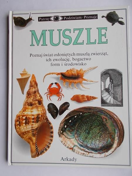 Arthur Alex - Muszle