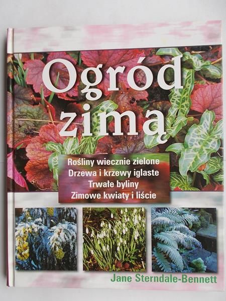 Ogród zimą