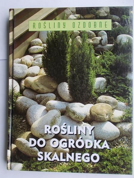 Rośliny do ogródka skalnego
