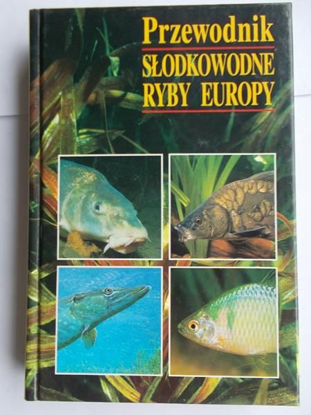 Słodkowodne ryby Europy