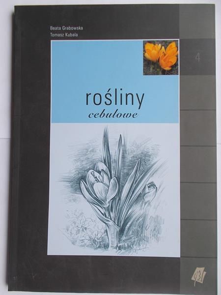 Rośliny cebulowe