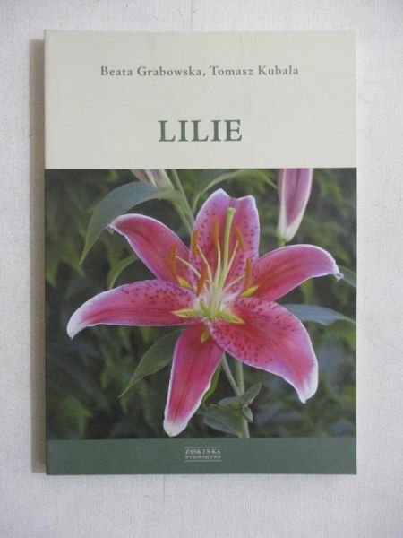 Lilie