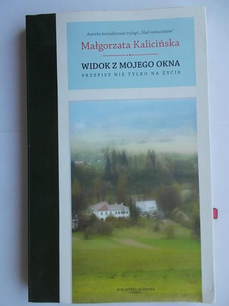 Widok z mojego okna