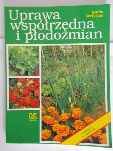 Uprawa współrzędna i płodozmian