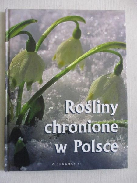 Bylińska Agnieszka - Rośliny chronione w Polsce