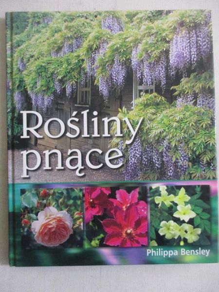 Rośliny pnące