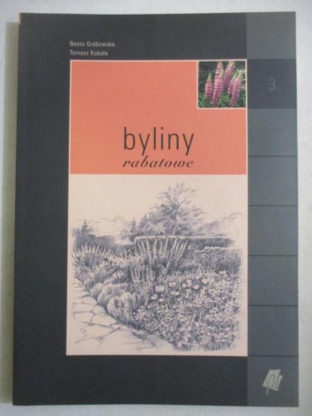 Byliny rabatowe