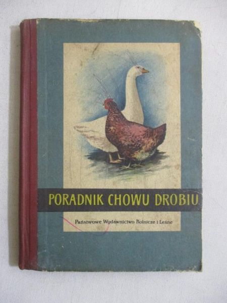 Poradnik chowu drobiu