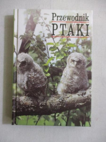 Przewodnik ptaki