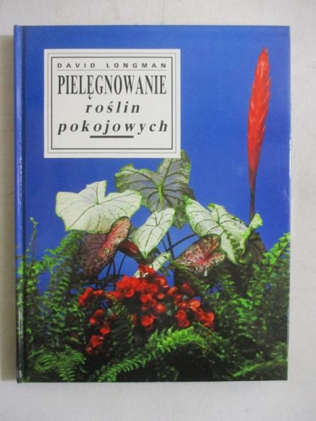 Pielęgnowanie roślin pokojowych