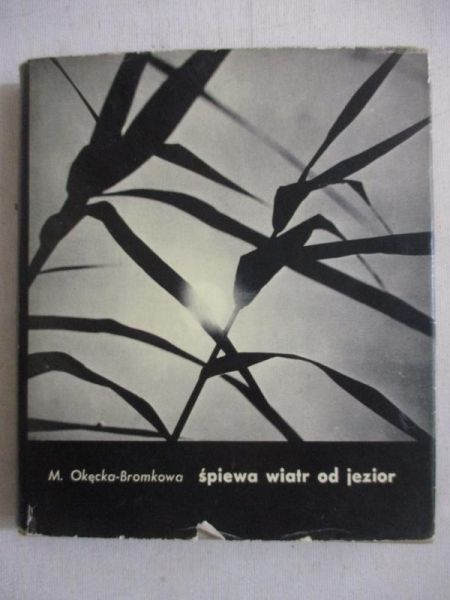 Śpiewa wiatr od jezior