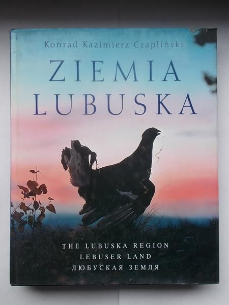 Ziemia lubuska