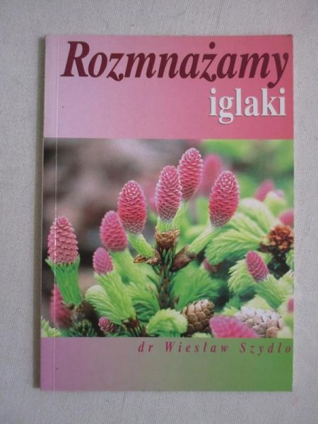Rozmnażamy iglaki