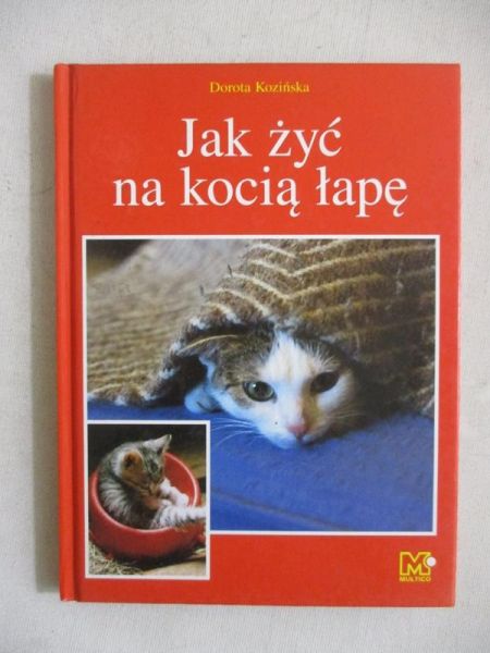 Jak żyć na kocią łapę
