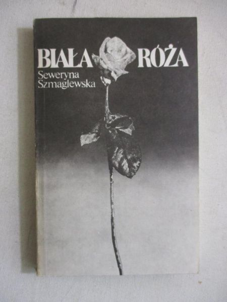 Biała róża
