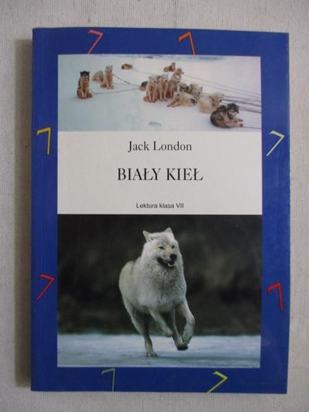 Biały kieł
