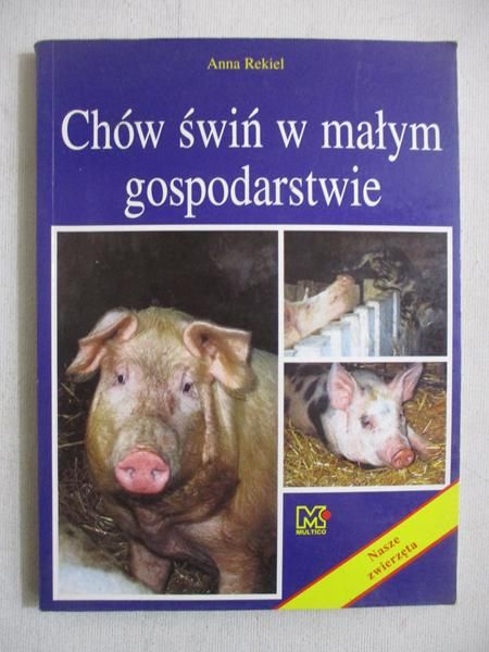 Chów świń w małym gospodarstwie