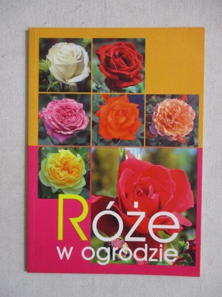 Róże w ogrodzie