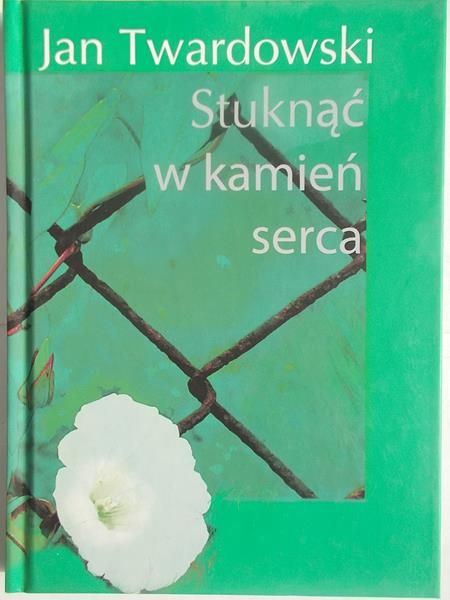Stuknąć w kamień