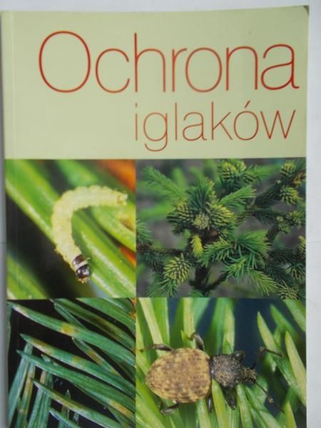 Ochrona iglaków