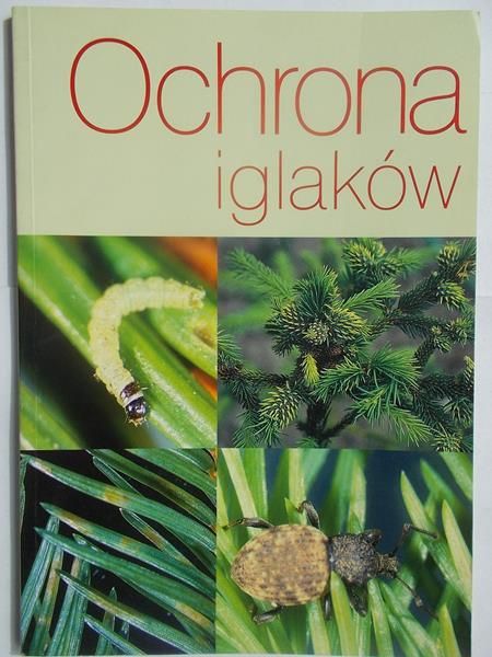Ochrona iglaków