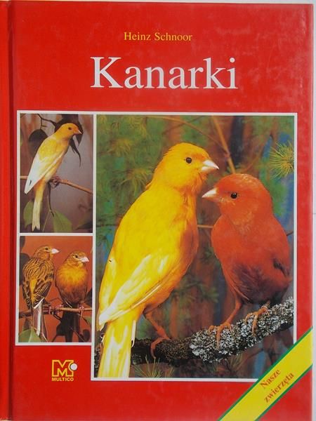 Kanarki