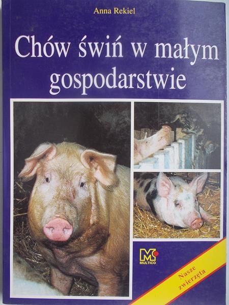 Chów świń w małym gospodarstwie