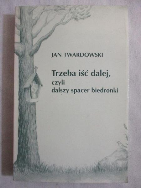 Trzeba iść dalej, czyli dalszy spacer biedronki