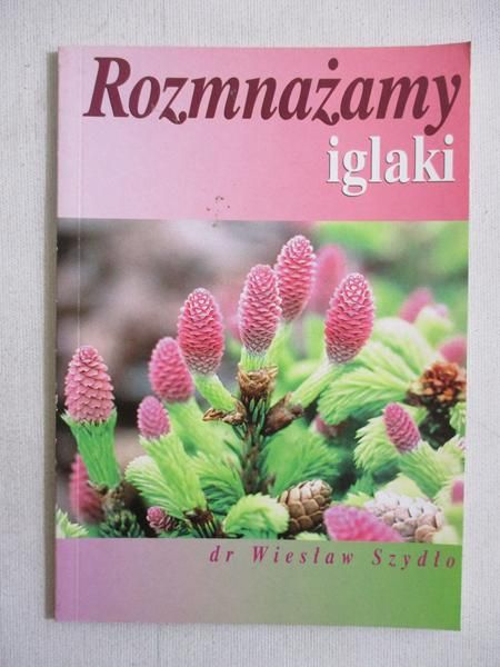 Rozmnażamy iglaki