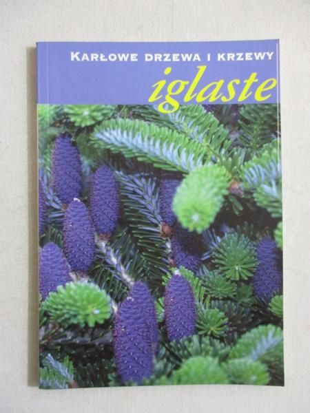 Karłowe drzewa i krzewy iglaste