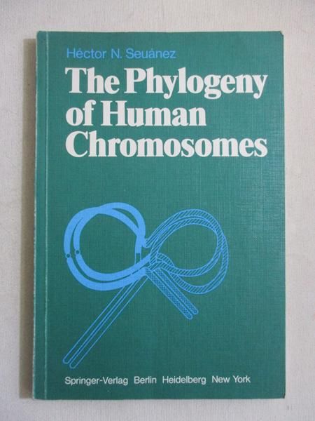 The Phylogeny of Human Chromosomes