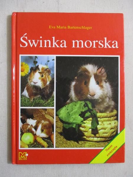 Bartenschlager Eva Maria - Świnka morska