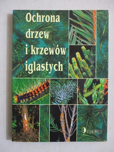 Ochrona drzew i krzewów iglastych