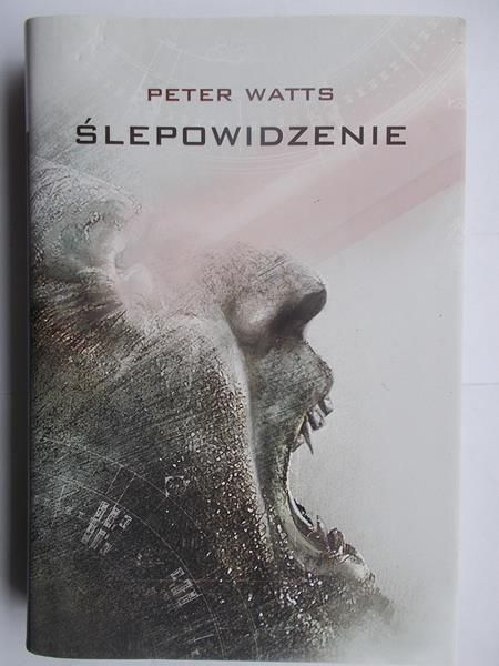 Ślepowidzenie