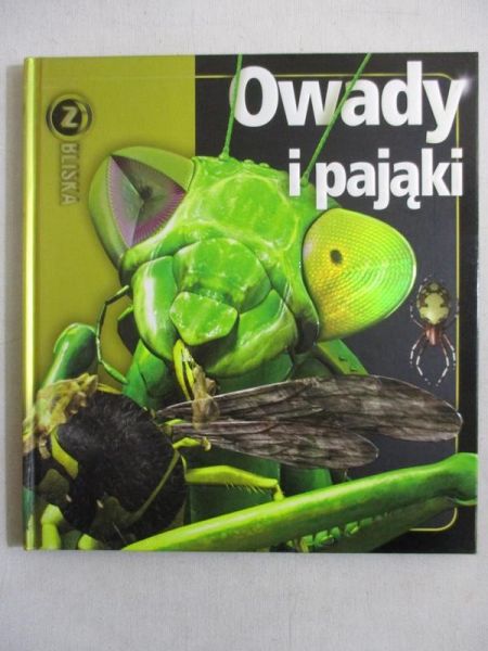 Owady i pająki