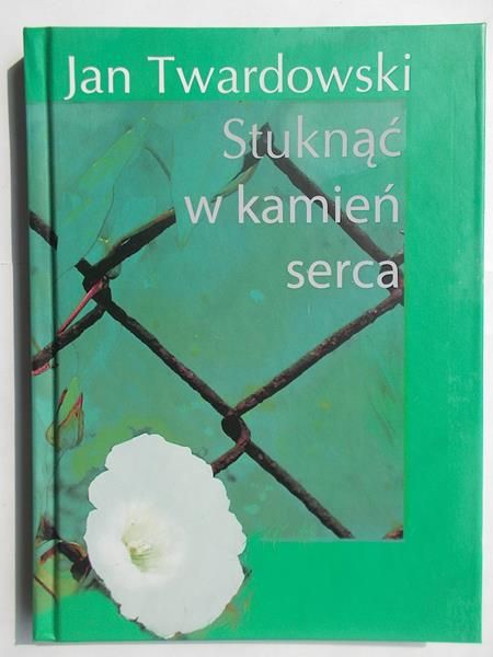 Stuknąć w kamień serca