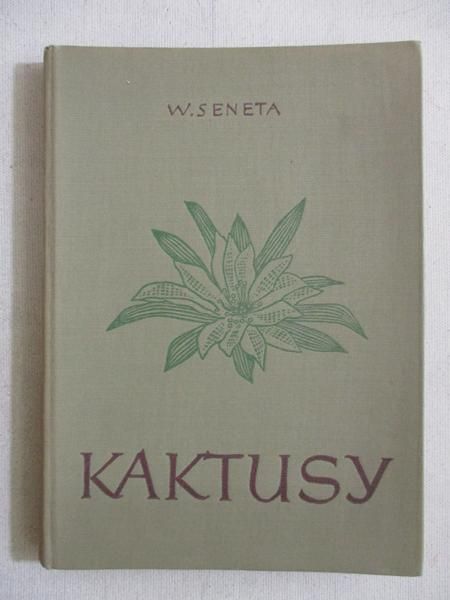 Kaktusy
