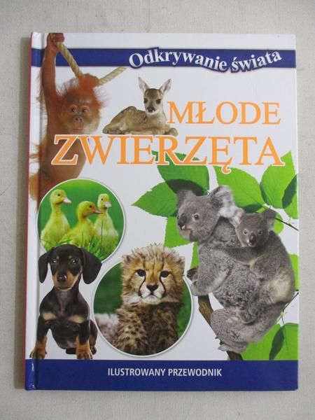Młode zwierzęta