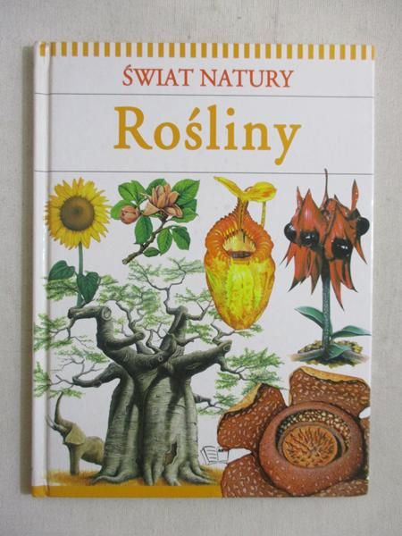 Rośliny