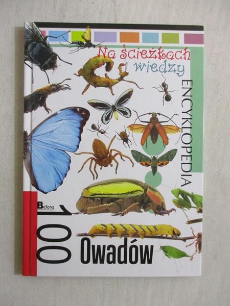 100 owadów