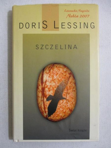Lessing Doris - Szczelina