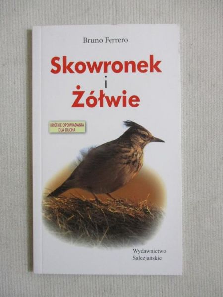 Skowronek i żółwie