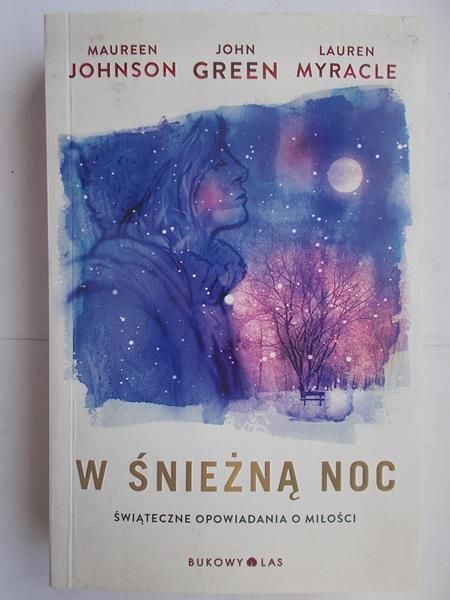 Johnson Maureen - W śnieżną noc