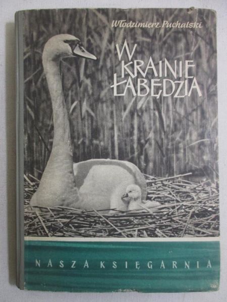 W krainie łabędzi
