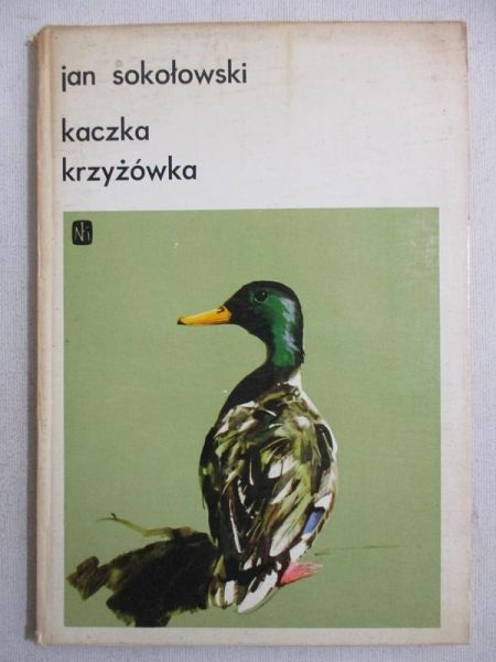 Kaczka krzyżówka