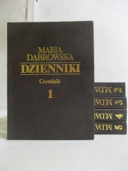 Dzienniki, t. I-V