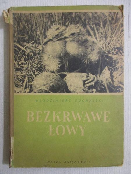 Bezkrwawe łowy